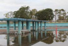 Race is on to beat the heat