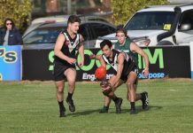 Magpies run to continue