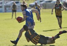 Mozzies face tough challenge