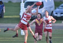 Rooster on bumpy road