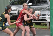 Tigers and Mozzies hard to split