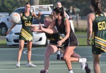 Mozzies up against it at home