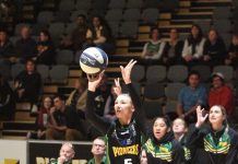 Pioneers sweep Tasmania double-header
