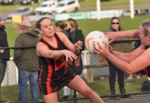 Millicent too strong at Kennel