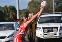 Demons fade out against Tigers