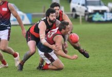 Bulldogs hungry for more