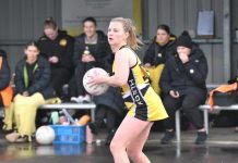 Tigers dominate at Island Park