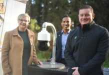 AI to help detect bushfires