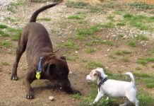 Invite to discuss concerns