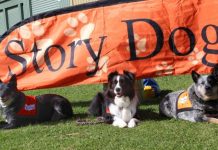 Giving Day aims to bolster Story Dog numbers