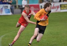 Tigers pounce early to set up victory