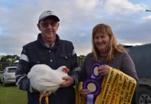 Winner winner chicken grinner