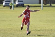 Tantanoola stands tall