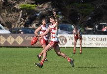 Roosters show their class