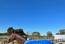 Into the record books