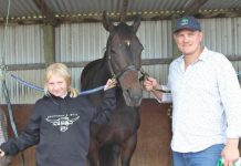 Brilliant transformation