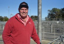 New footrot procedures