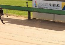 A welcome addition to the training ranks