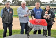 A classic win for Malevolent Girl