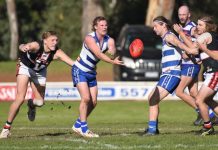 Millicent hits the road