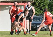 Magpies swoop on points