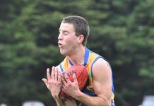 Eagles swoop on Tigerland