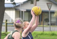 Eagles hold out Mozzies