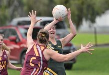 Tigers look for win on the road