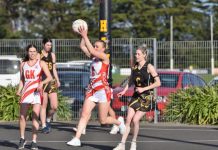 Roosters too good for Hawks