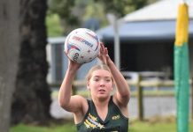 Hawks feel the sting