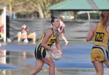 Tigers hit their stride