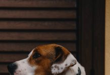 Community consultation open