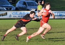 Dogs look to upset Dees