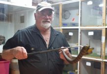 Snakes season begins