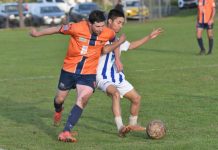 Centrals on the rise