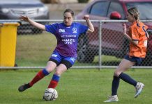 Apollo seals minor premiership