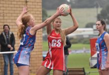 Demons deny improved Cats