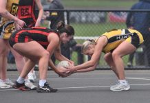 Bulldogs held at bay