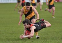 Tigers deny Dogs victory