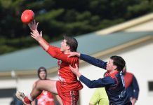 Demons delight on home soil