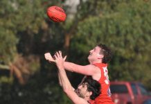Roos wreak havoc on Dees