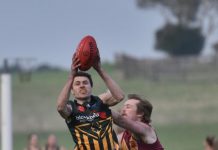 Mozzies buzz to life when it counts