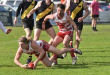 Roosters break win drought