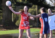 Comeback win for Tigers