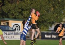 Tigers set to pounce