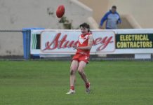 Tigers and Dees do battle