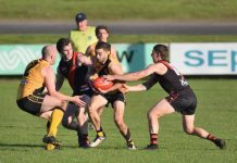 Dogs to threaten Tigers