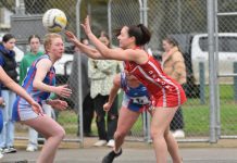 Big finish from young Demons