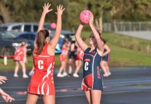 Tough ask for young Dees