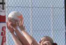 Saints hope to pounce on injured Roos